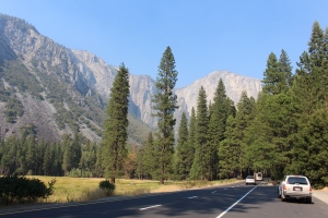 Arriving at Yosemite National Park.